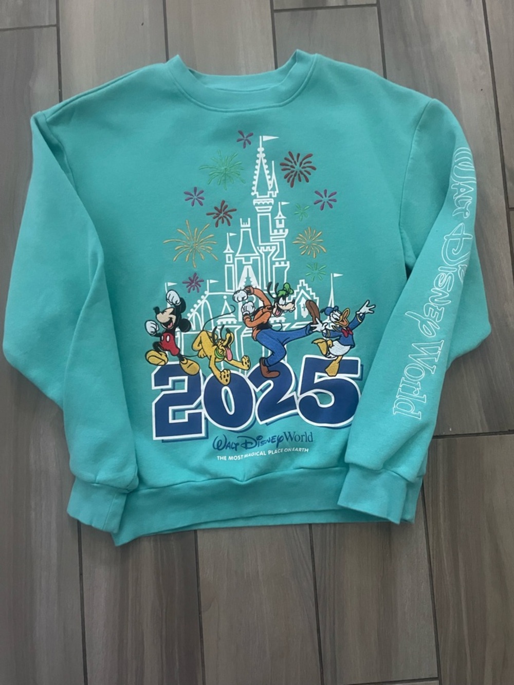 Disney Kids Aqua 2025 Castle & Characters Crewneck Sweatshirt